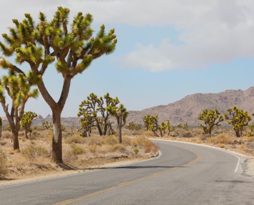 Airbnb Joshua Tree