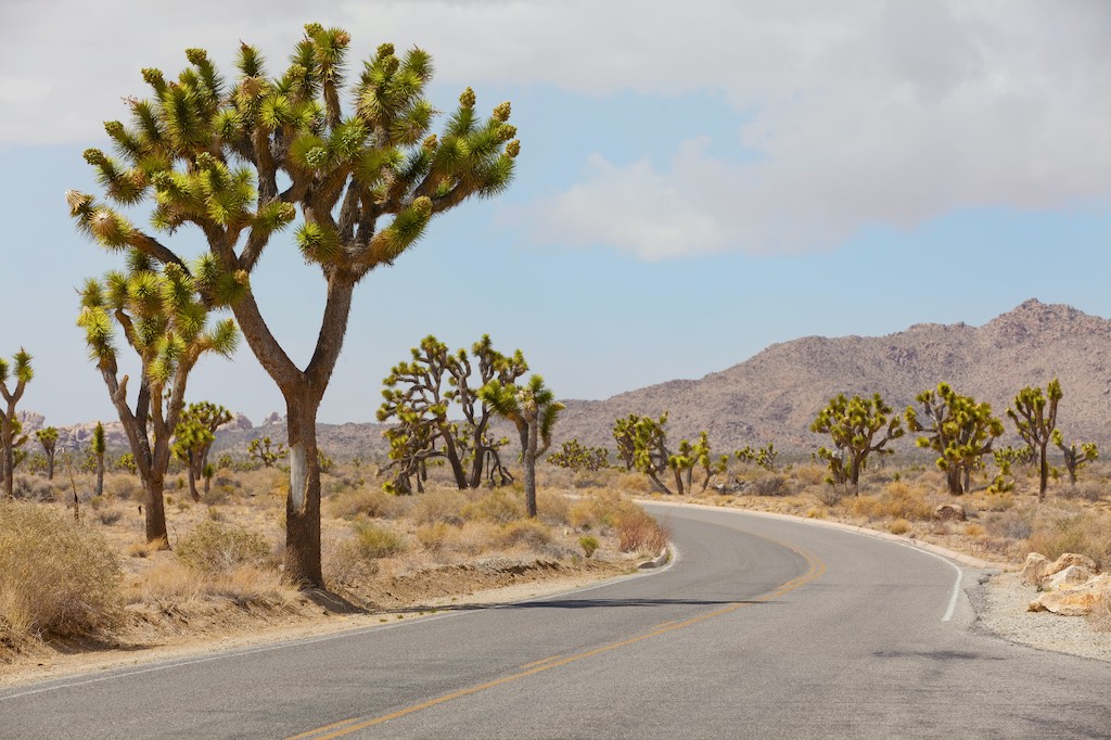 Airbnb Joshua Tree