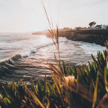 The 16 BEST Airbnb Knoxville Rentals For a Tennessee Getaway