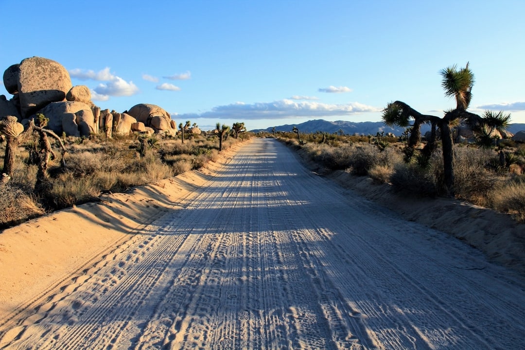 Sandy road in Joshua Tree National Park