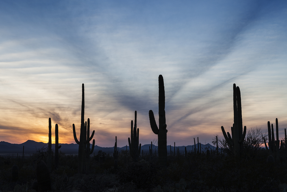 Tucson Family Airbnb