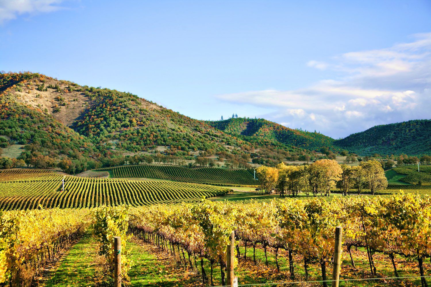 Wine Country, California