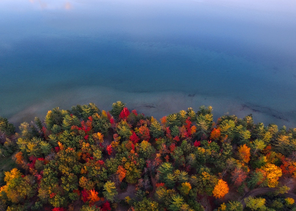 Best Airbnb in Michigan