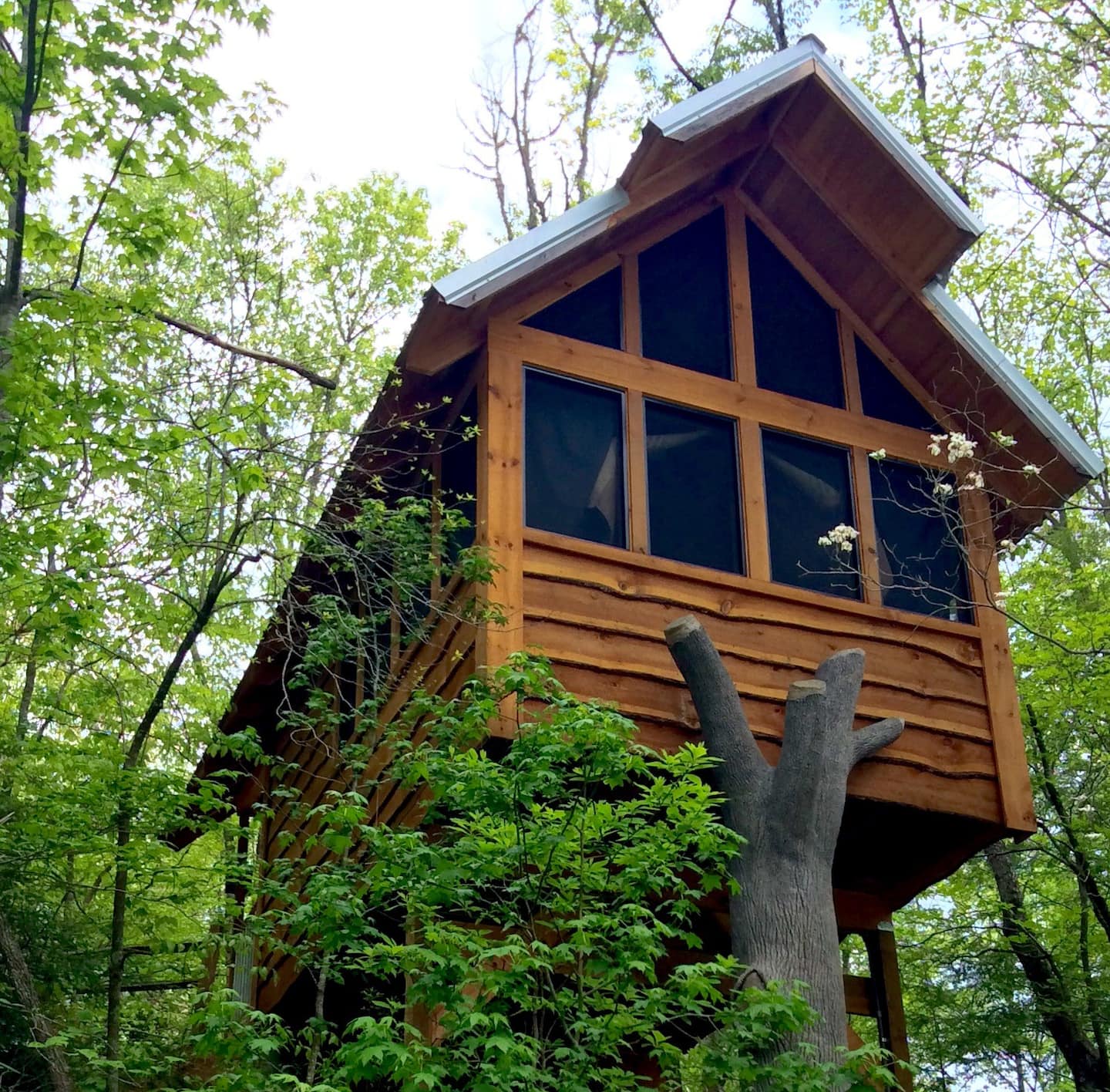 Best Gatlinburg Luxury Tree House Airbnb