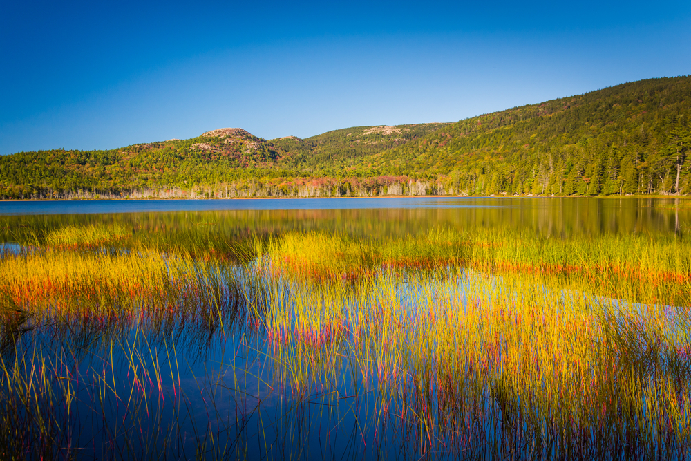 Best Maine Glamping