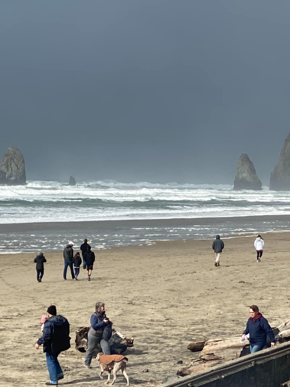 Coastal Oregon Tours