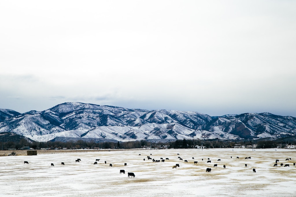 Fort Collins, Colorado