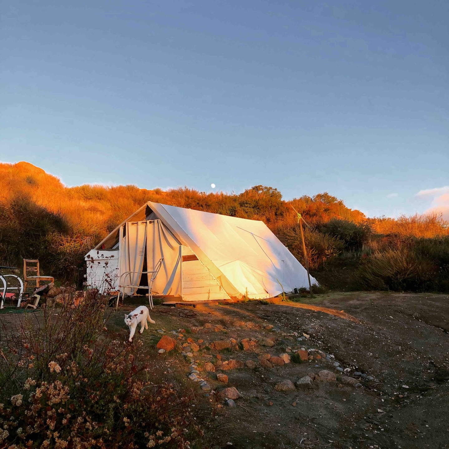 Glamping Tent on 170 acre Ranch
