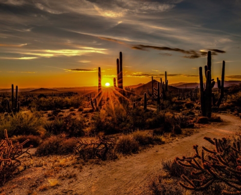 Mesa Arizona Airbnb