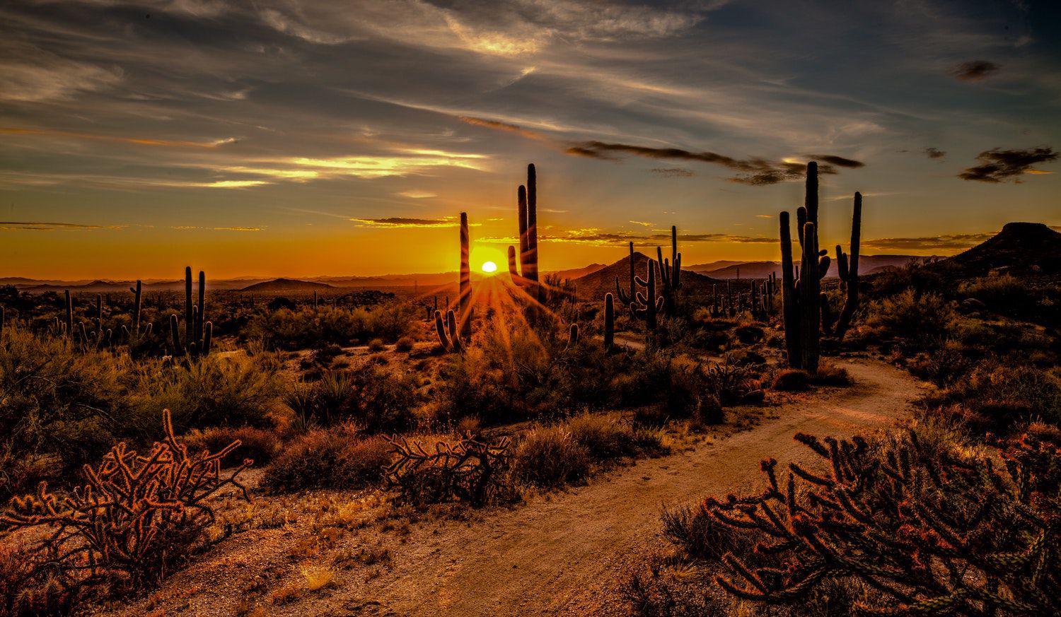 Mesa Arizona Airbnb