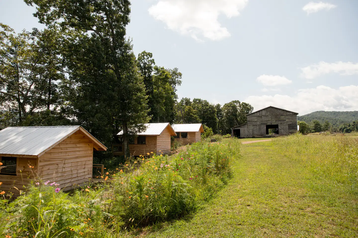Paint Rock Farm Glamping Cabins