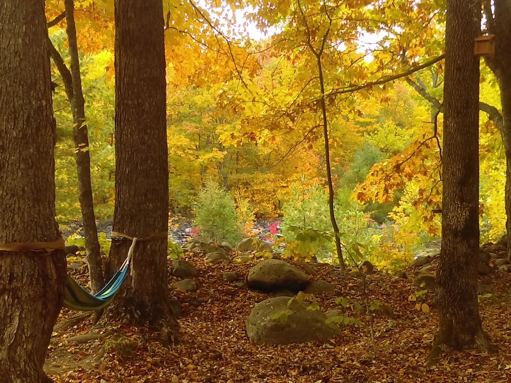 maine private campsite rustic cabin glamping
