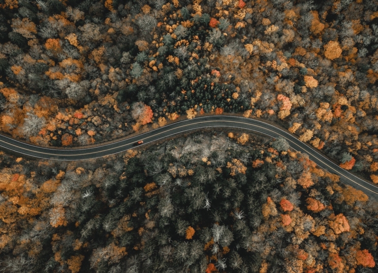 14 Best Airbnbs in North Carolina (Cabins, Treehouses & More)