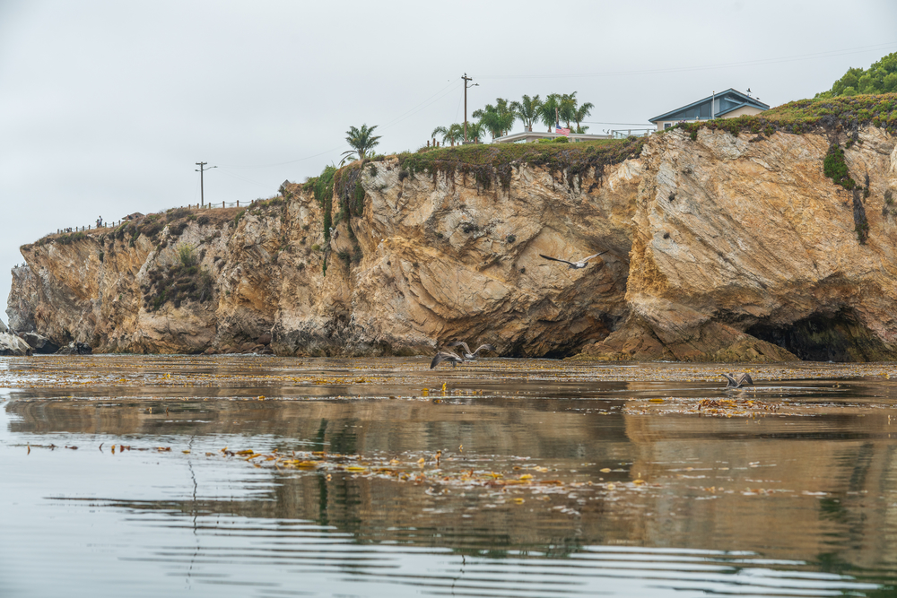 Pismo Beach Airbnb