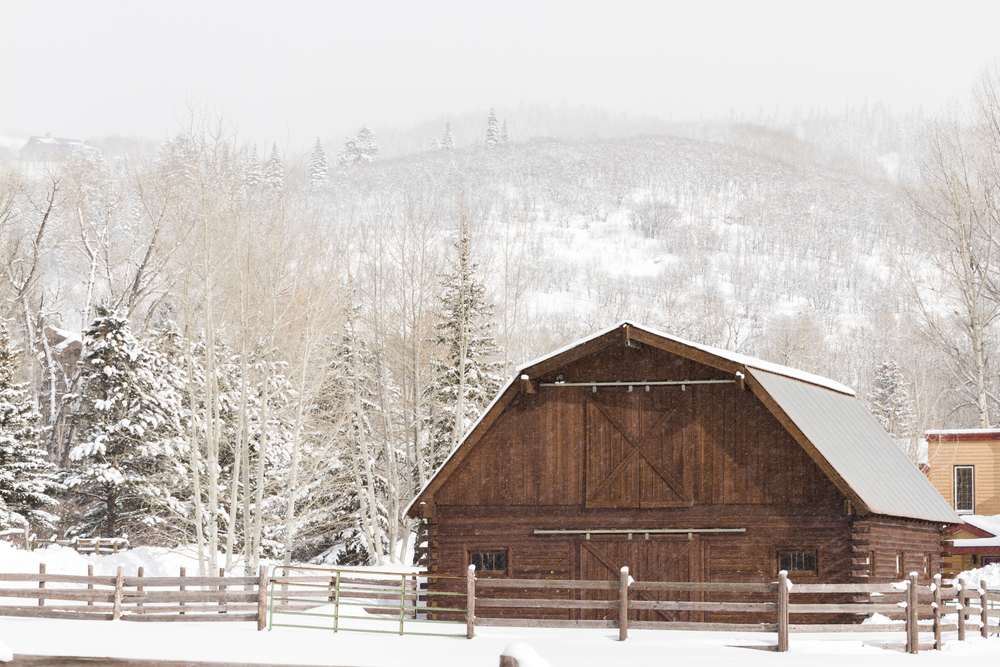 Airbnb Steamboat Springs