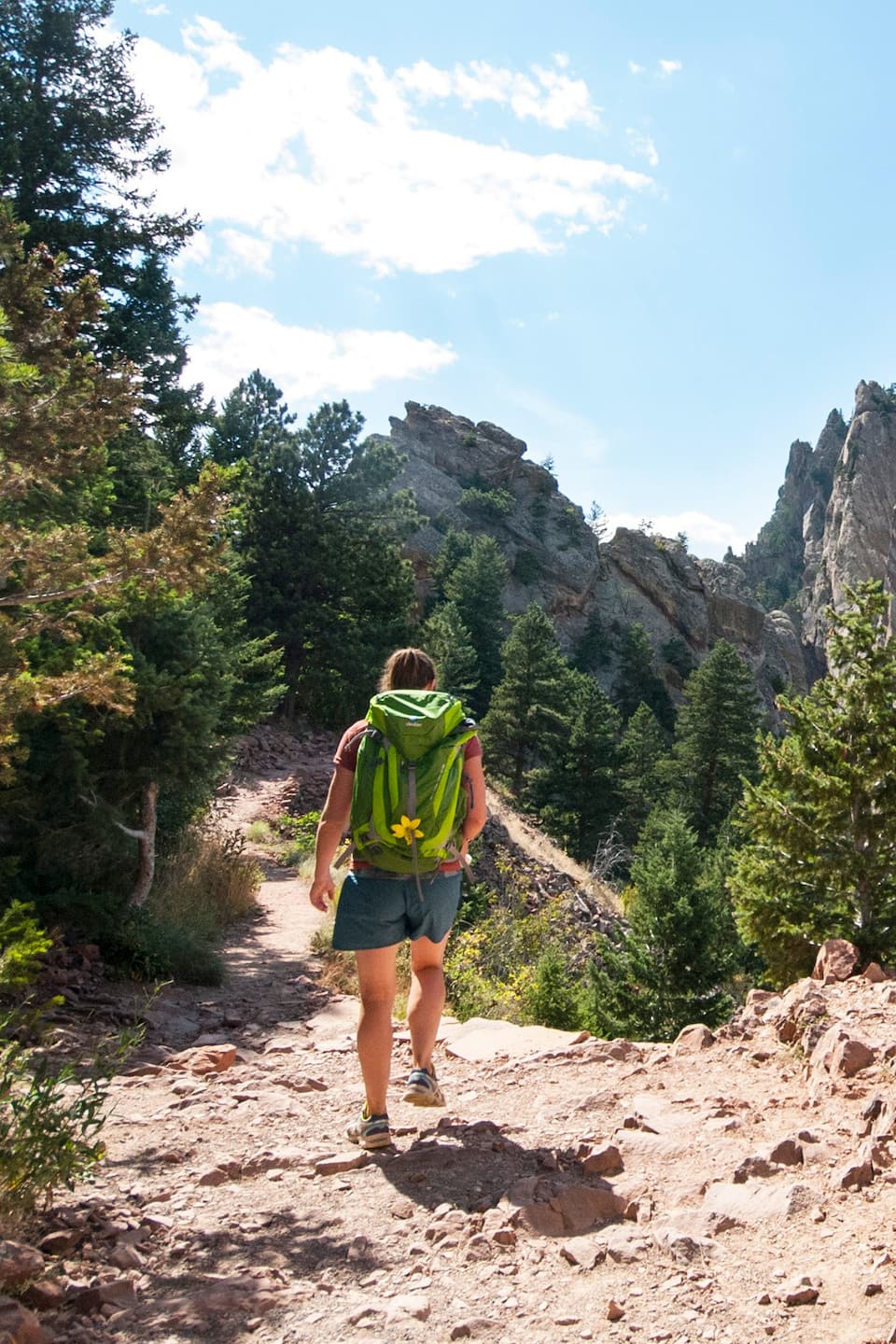 Best Airbnb Steamboat Springs