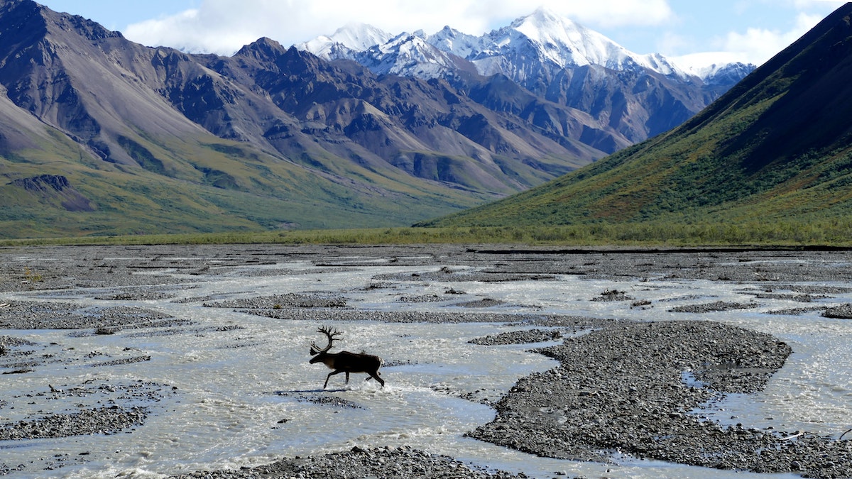 Denali National Park in Alaska