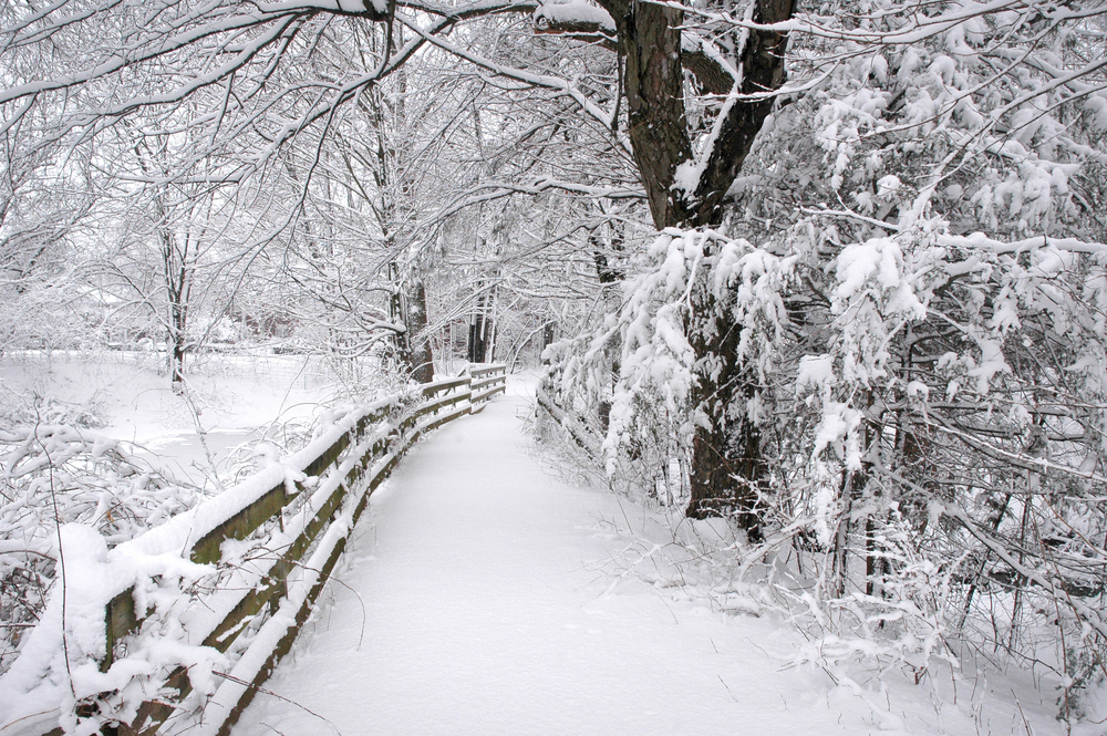 Group Airbnb Connecticut