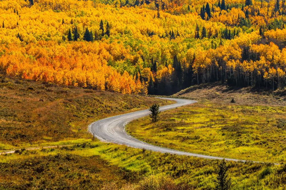 Group Steamboat Springs Airbnb