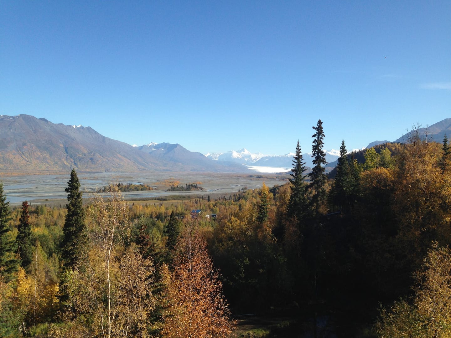 Jonhson Cabin Alaska Airbnb