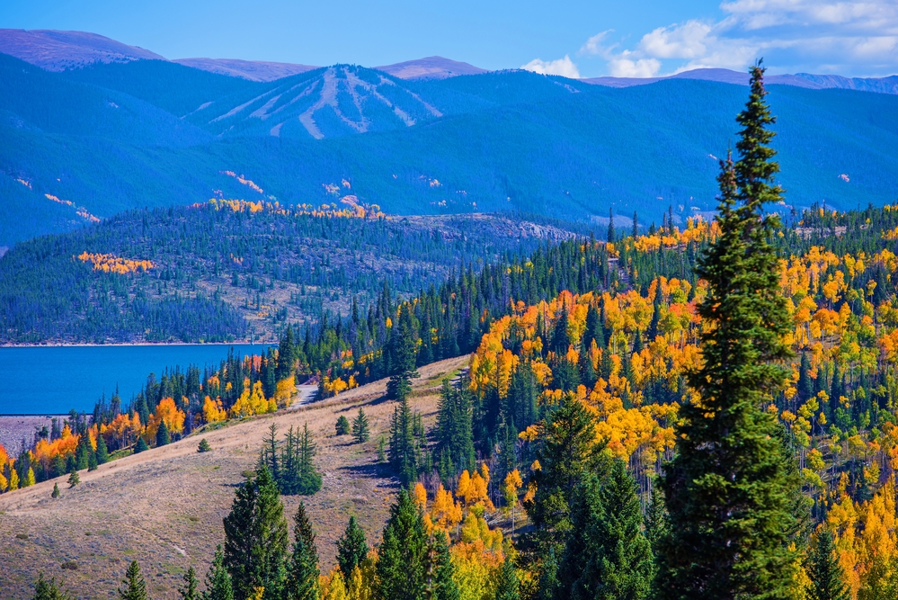 Luxury Breckenridge Airbnb