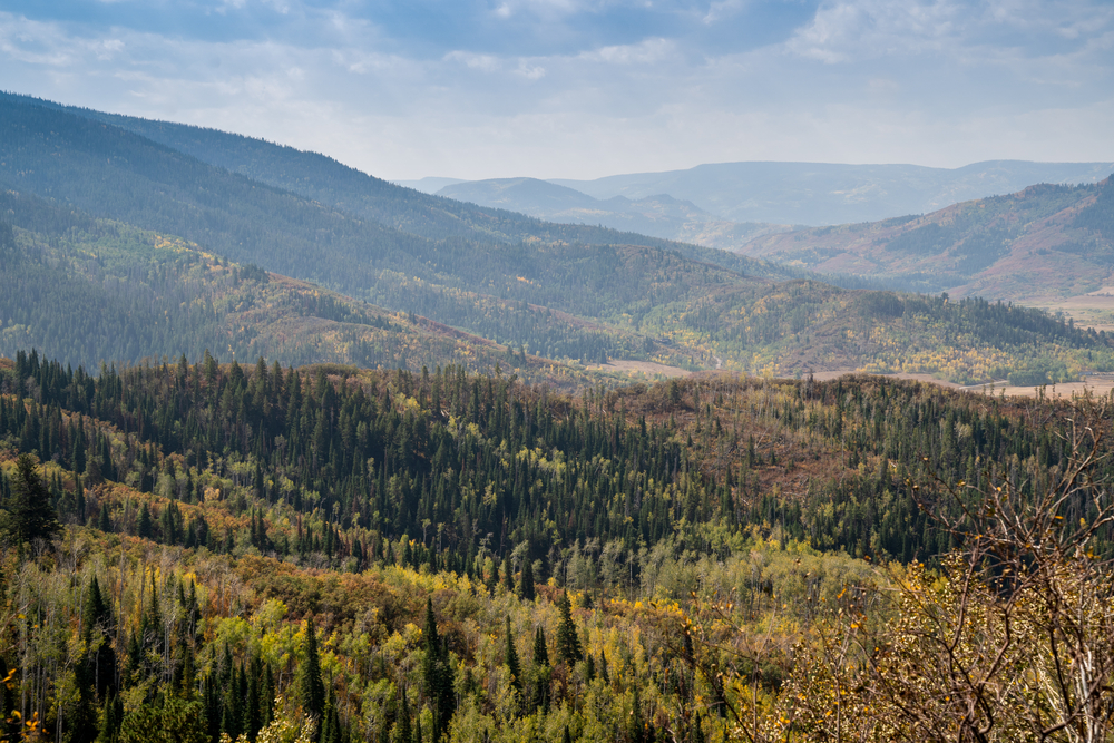 Luxury Steamboat Springs Airbnb