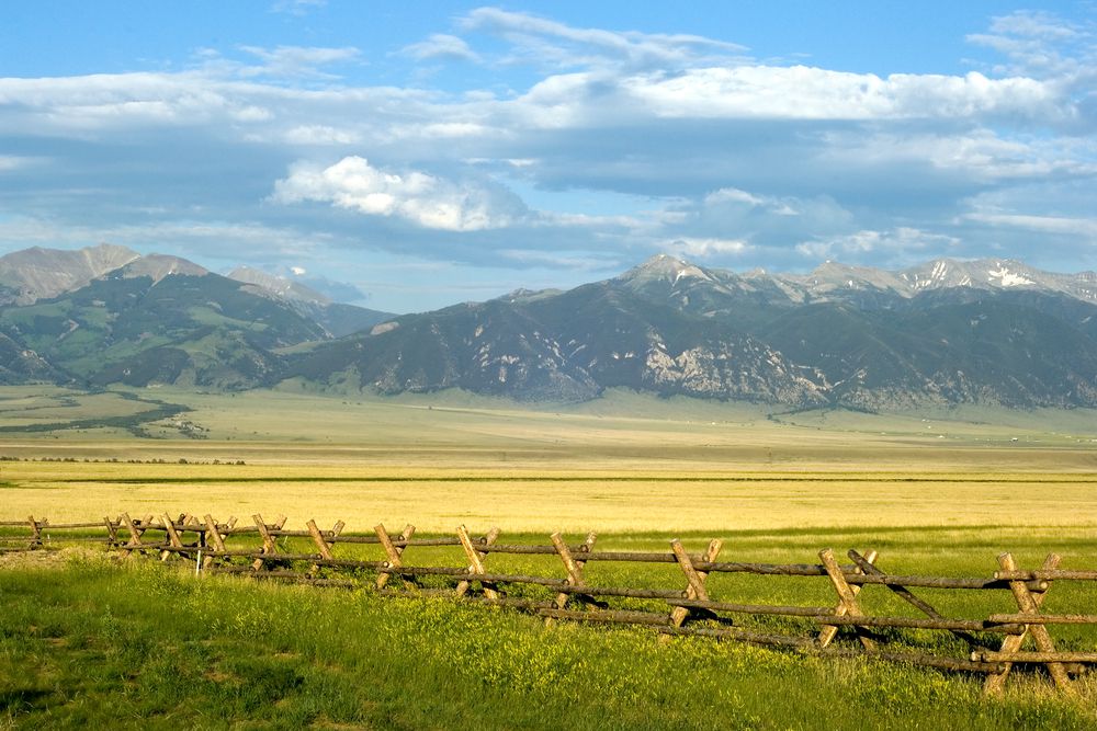 Montana