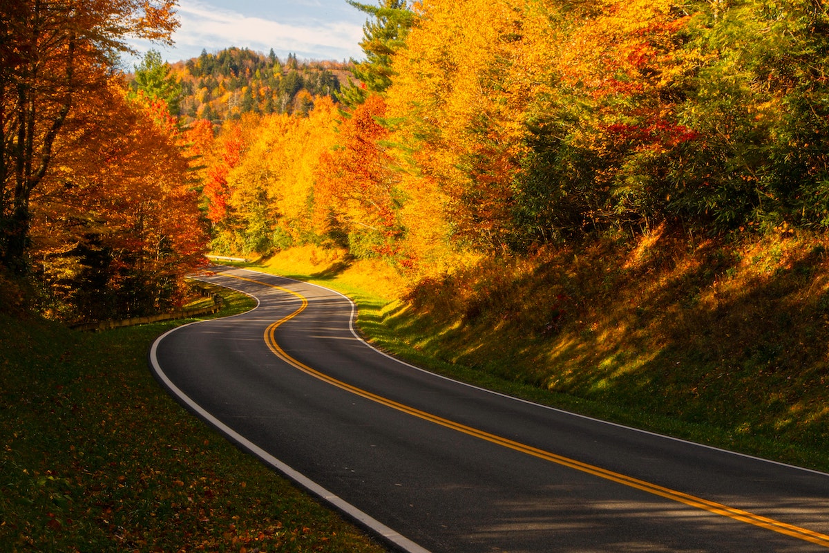 Smoky Mountains Road