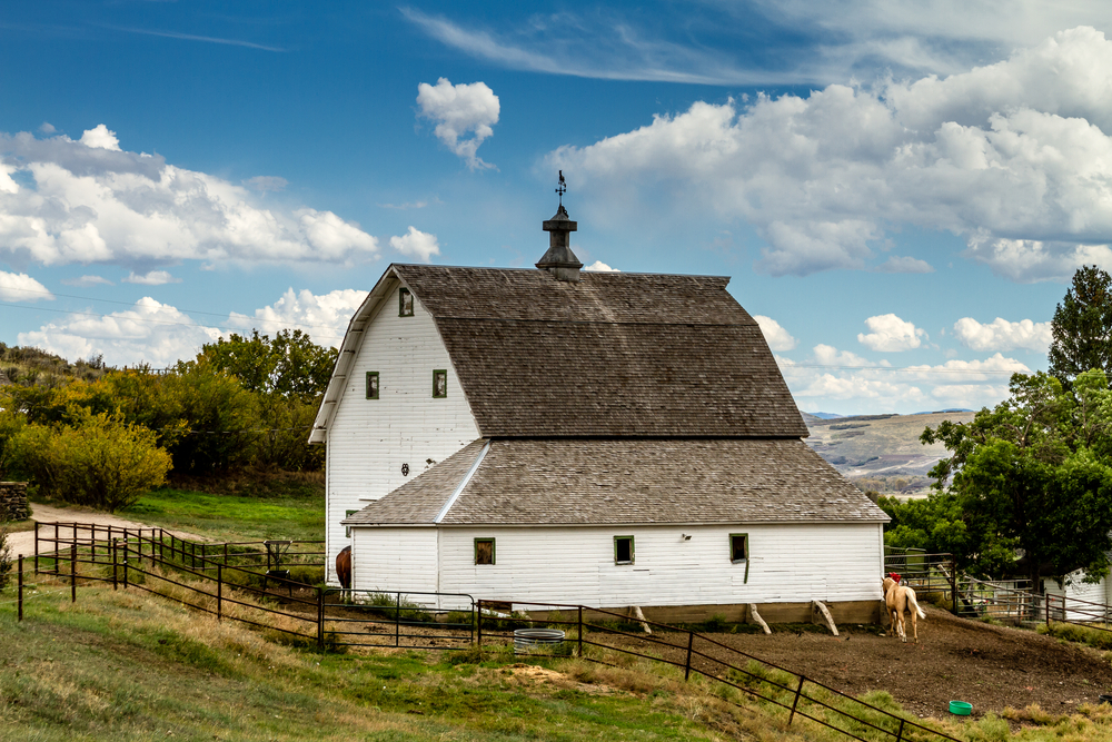 Steamboat Springs Airbnb