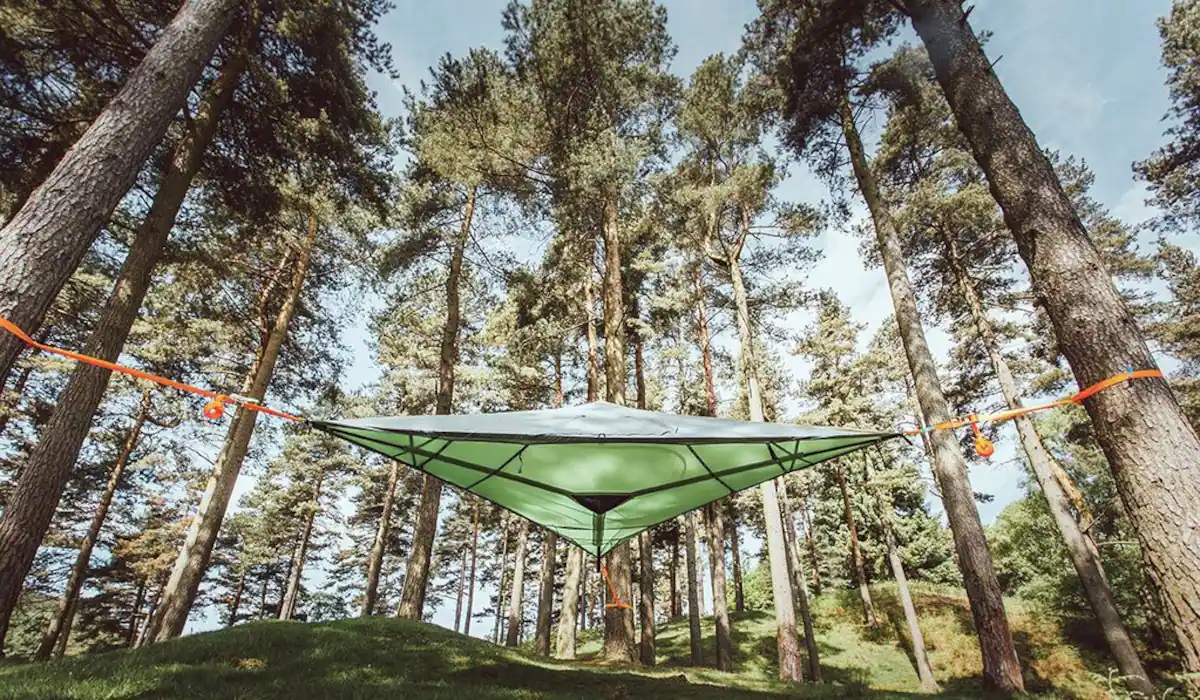 The Stargazer-Tree Tent