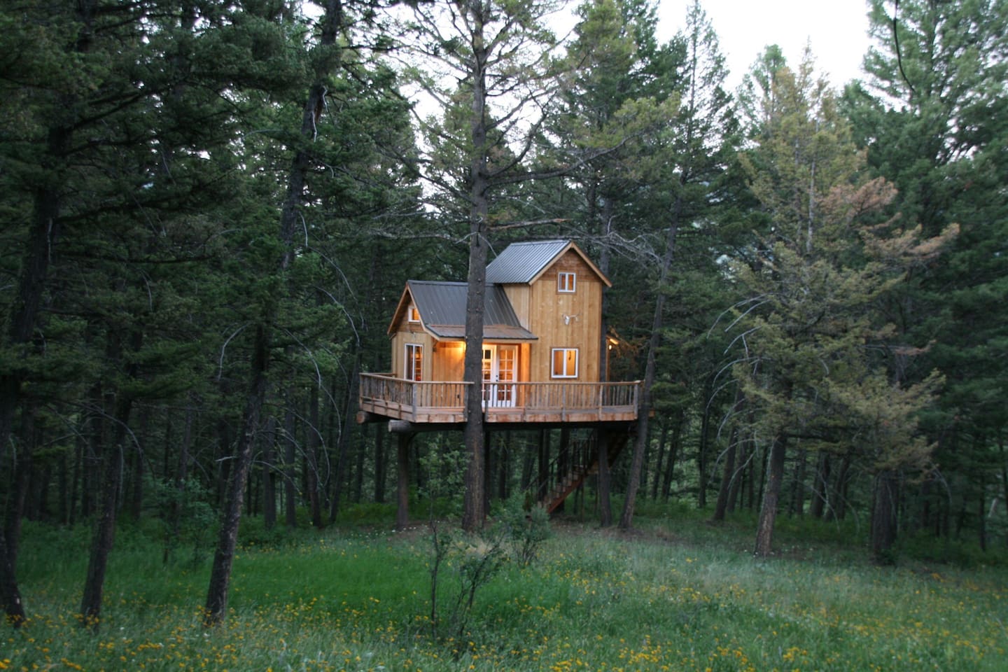 Treehouse Airbnb Montana
