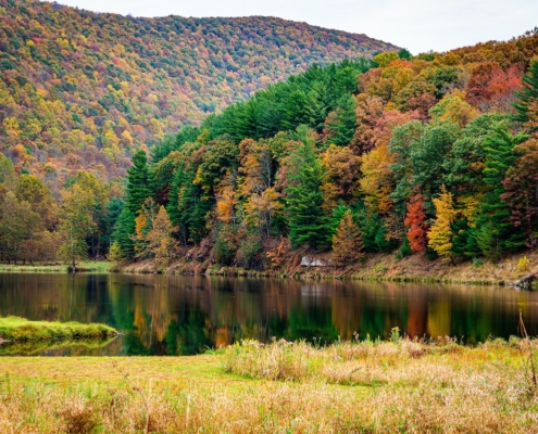 Airbnbs in Pennsylvania