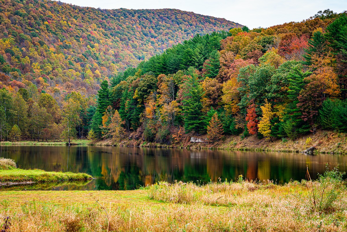 Airbnbs in Pennsylvania