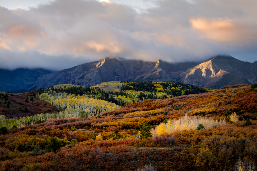 Best Airbnb Telluride