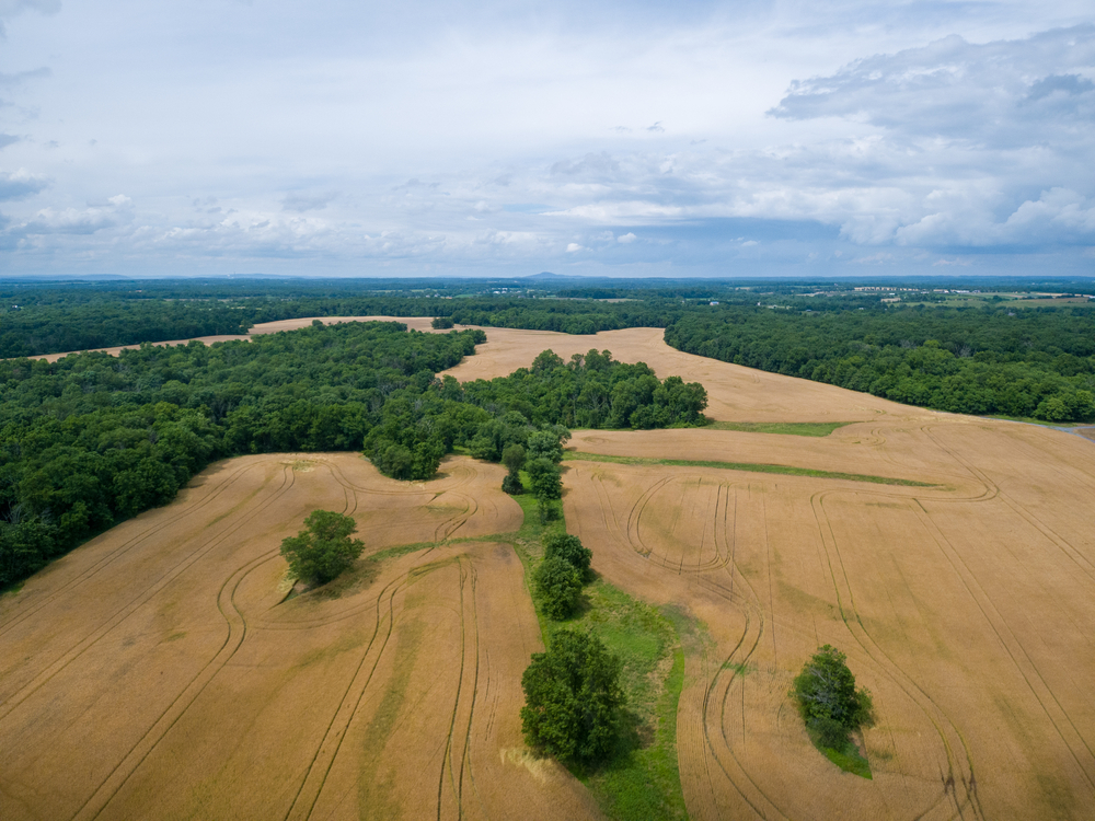 Best Glamping Maryland