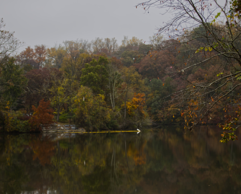 Best Maryland Glamping