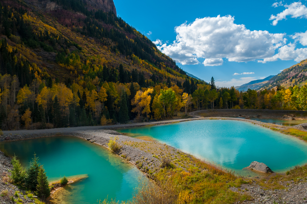 Best Telluride Airbnb