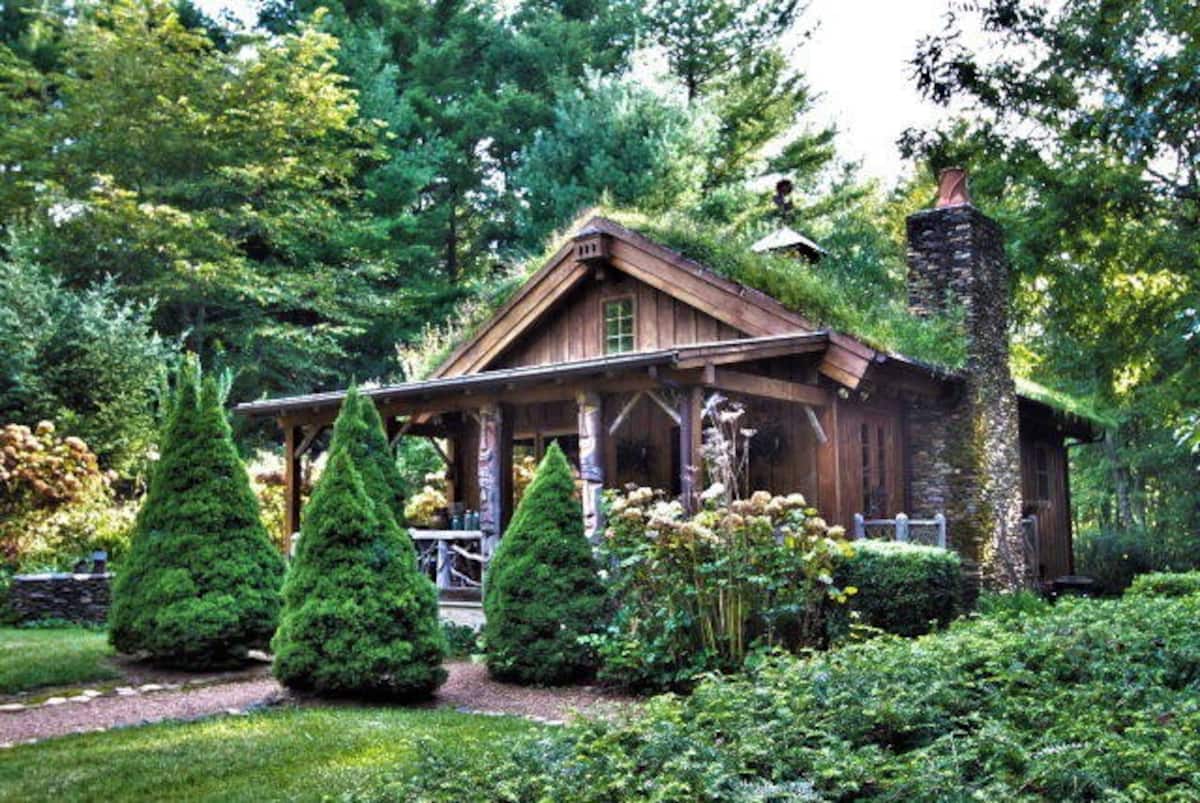 Cabin Rental Virginia Airbnb