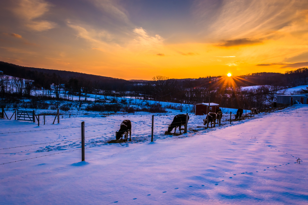 Glamping Maryland