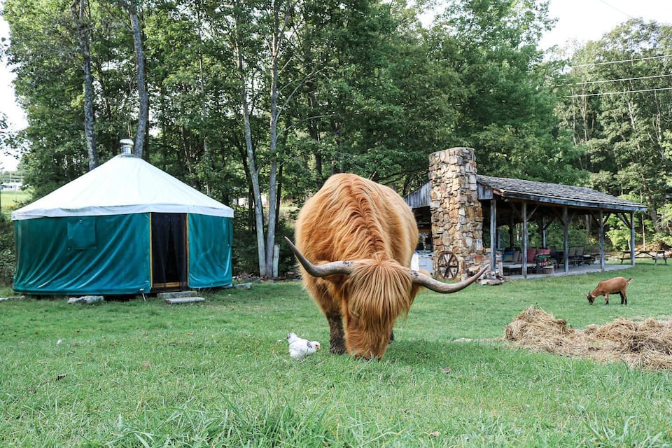 yurts in maryland