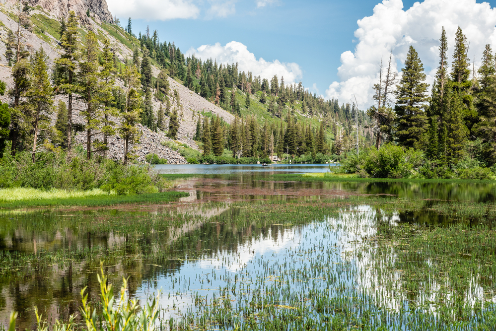 Mammoth Lakes Airbnb