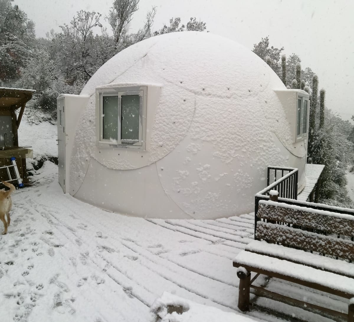 Unique Airbnb Dome