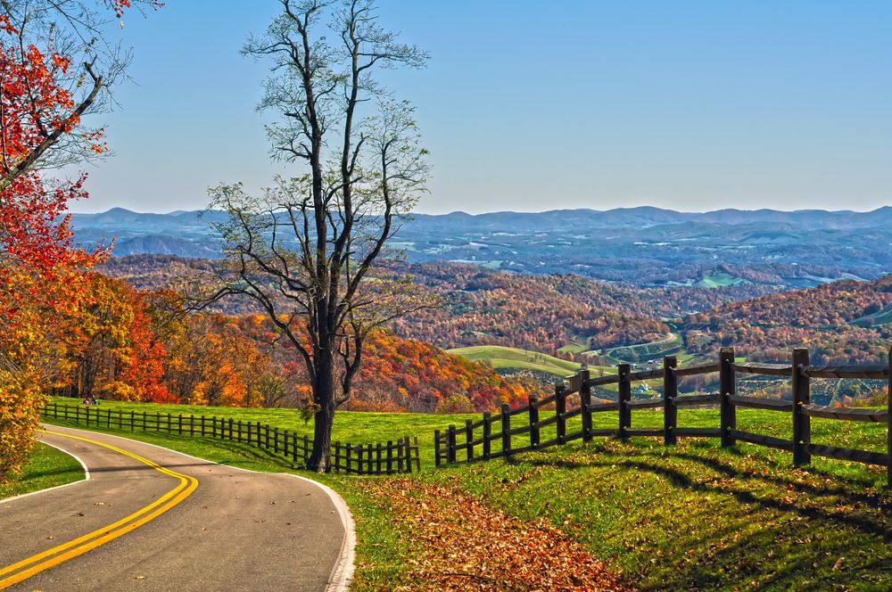 Unique Airbnb Virginia