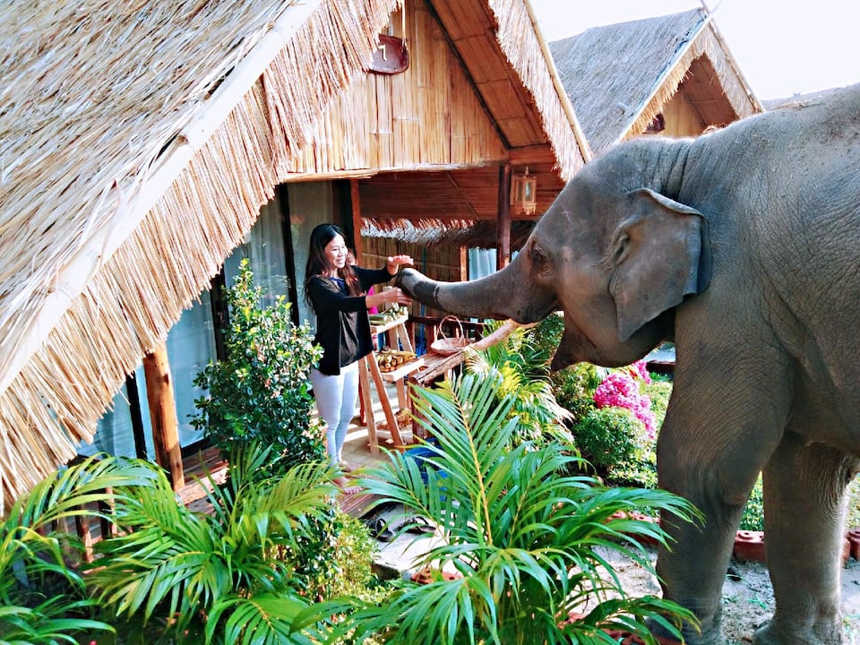 Unique Thailand Airbnb