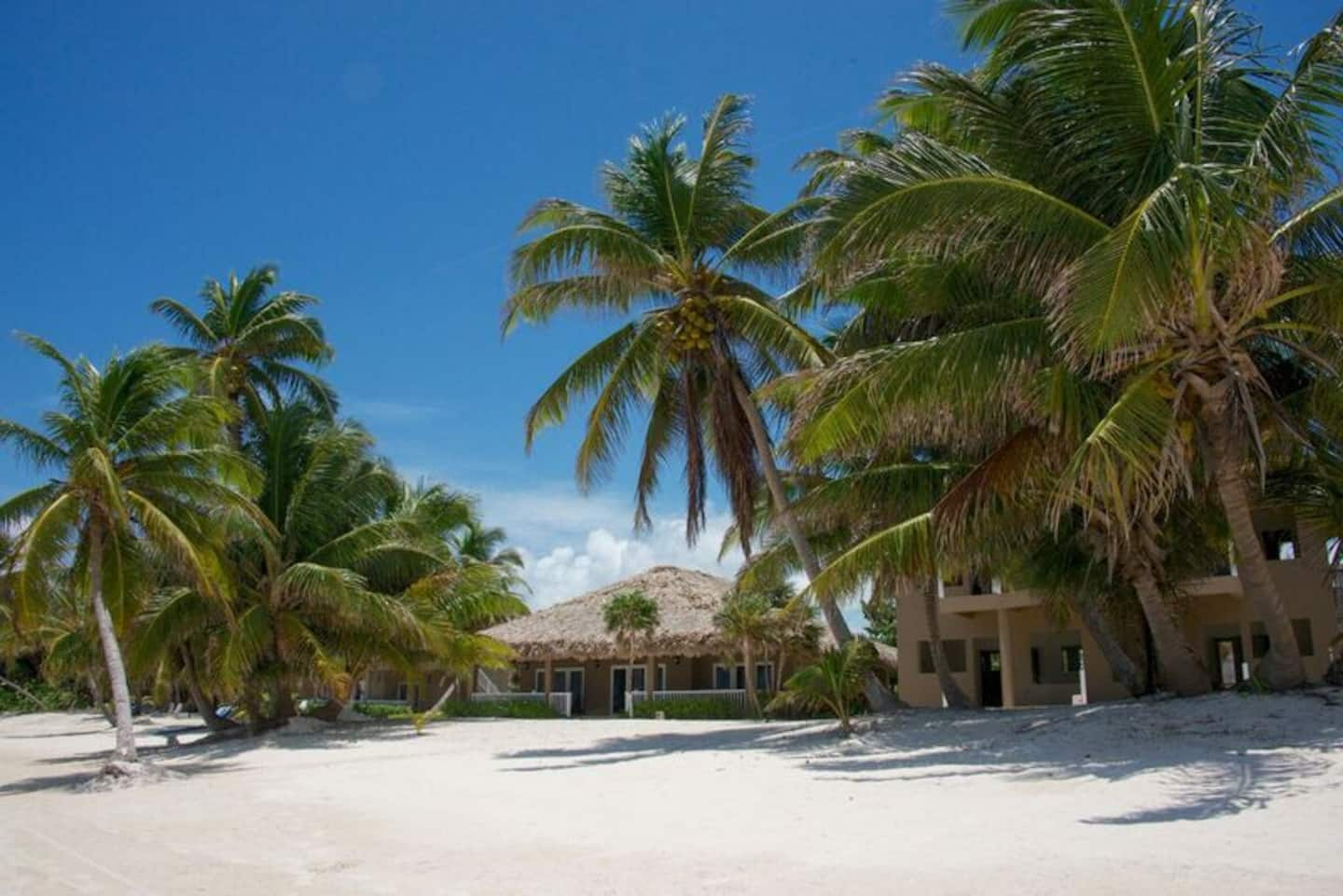 Beachfront Luxury Airbnb Belize