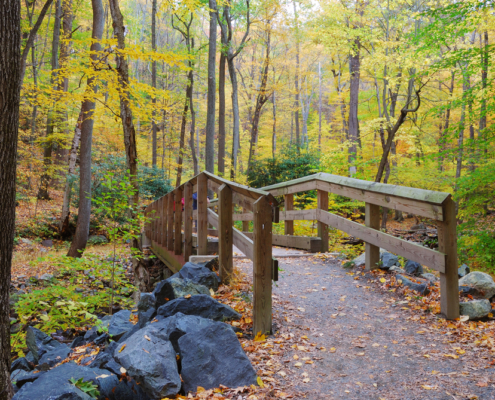 Delaware Glamping