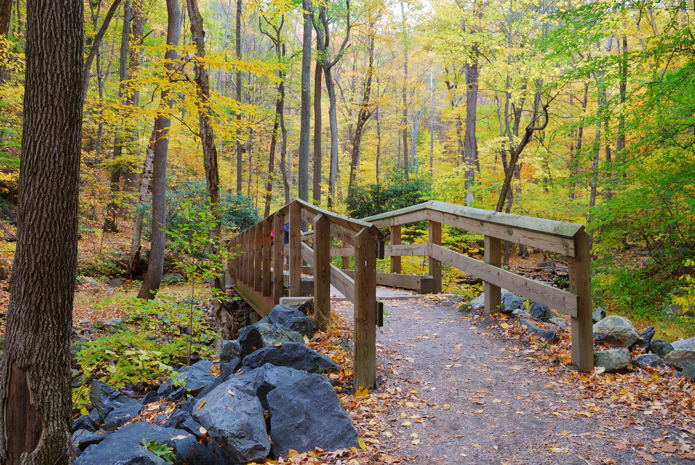 Delaware Glamping