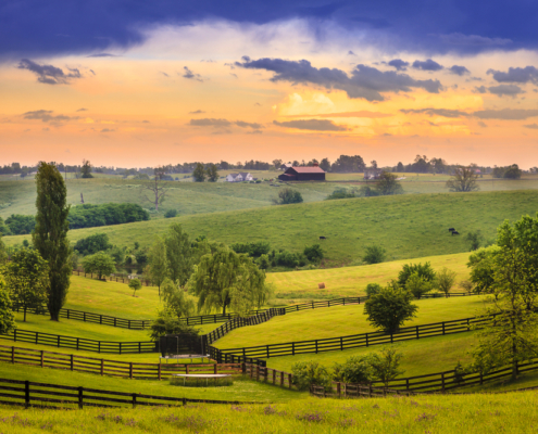 Kentucky Airbnb