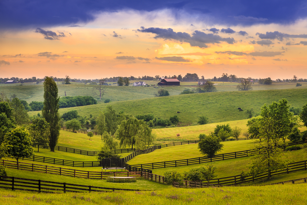 Kentucky Airbnb