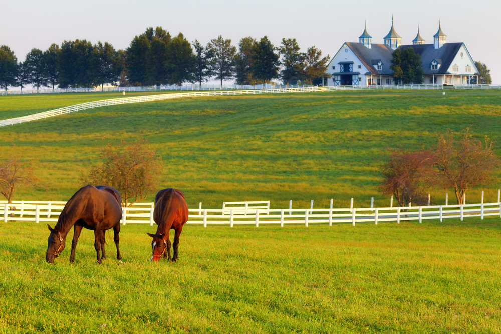 Romantic Kentucky Airbnb